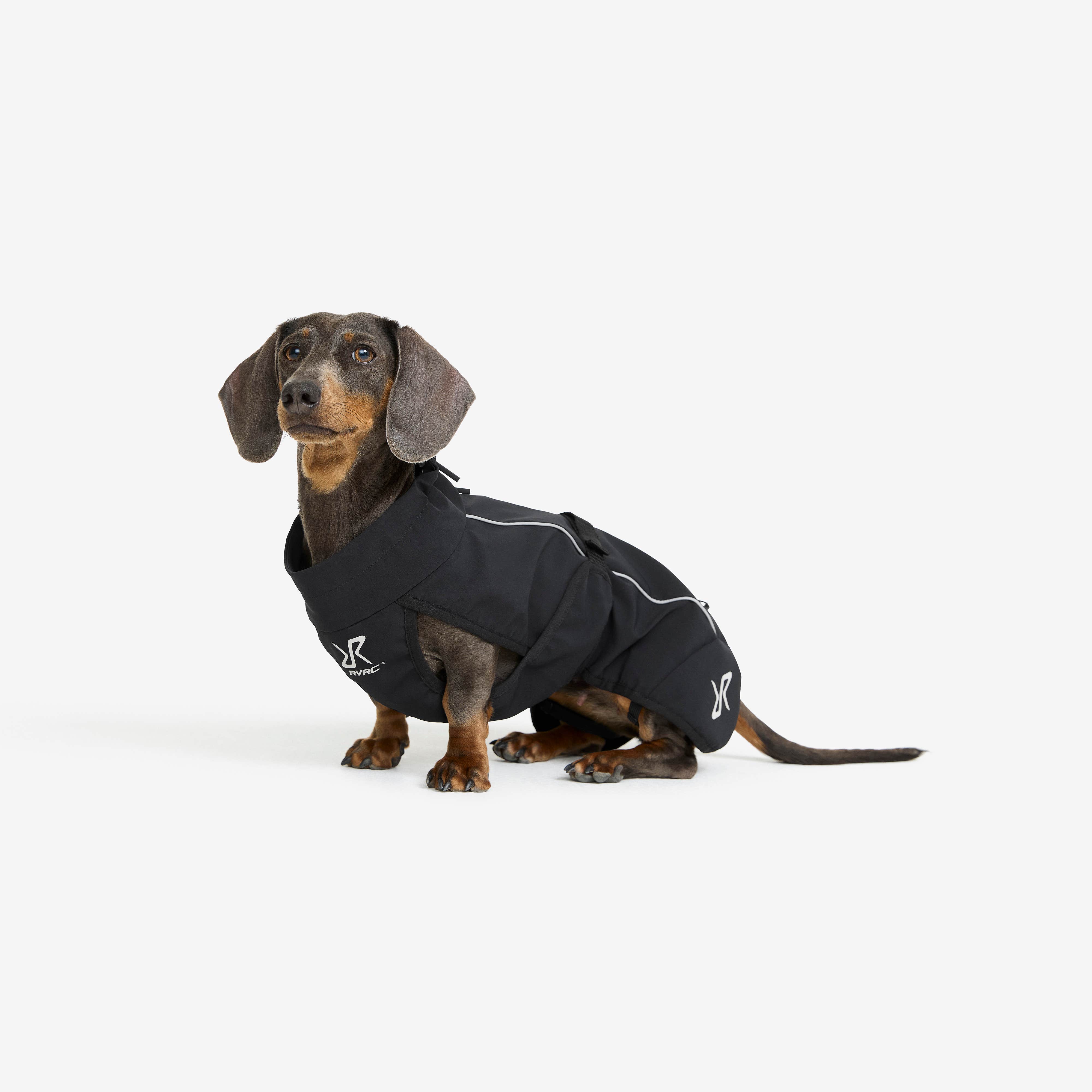 Cyclone Dog Jacket Hund Black