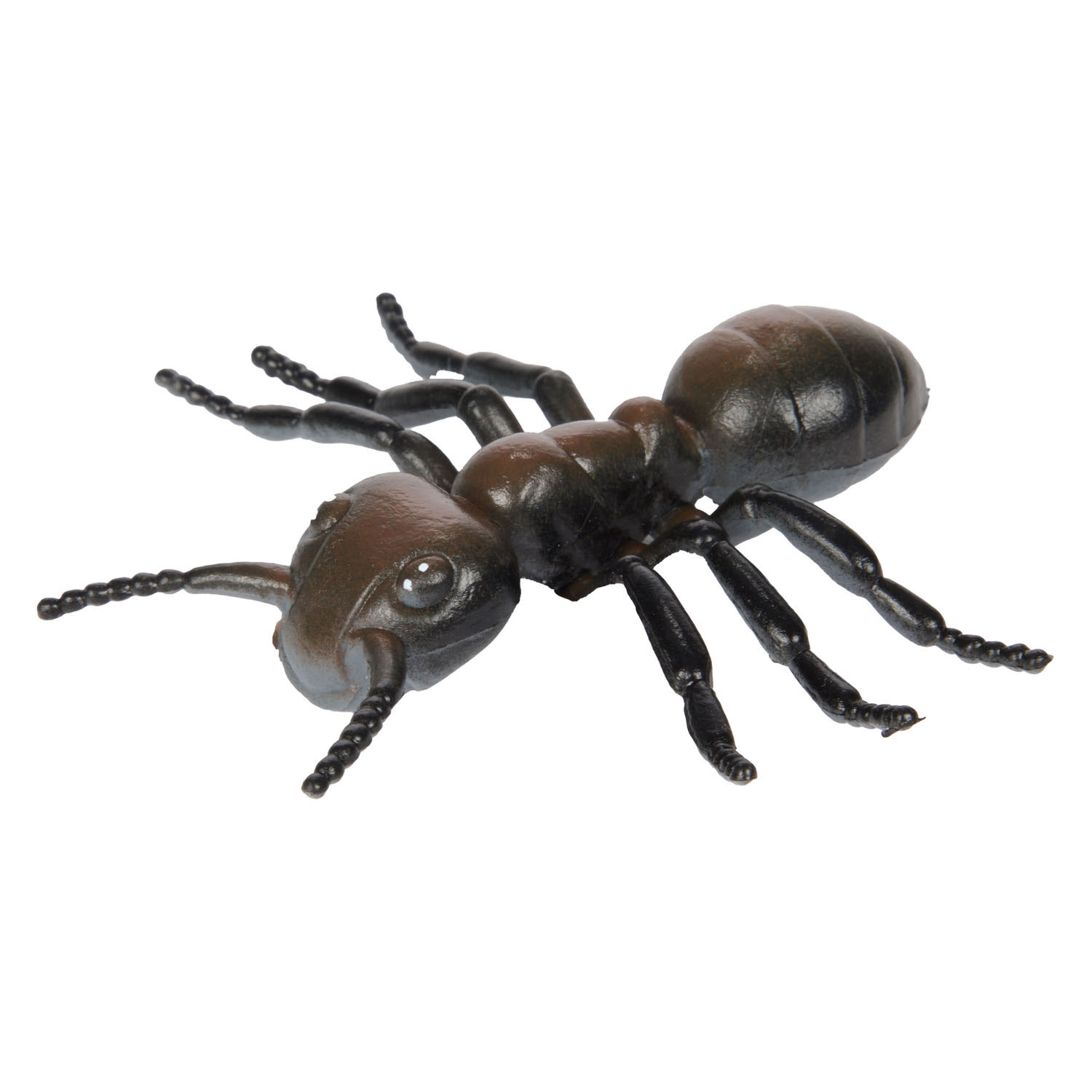 Animal World Grote Griezel Insect