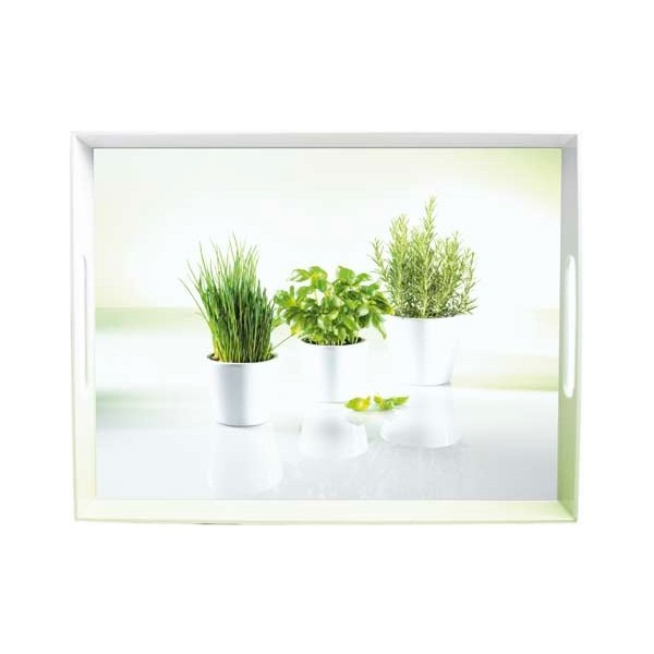 Plateau de service Emsa décor  Herbes