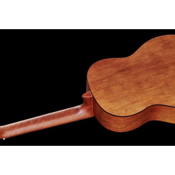 Ortega R55DLX-BFT
