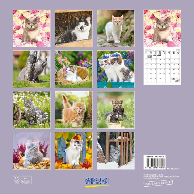 Kalender - Cats - 2024
