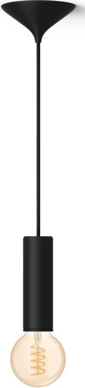 Philips Bundel: Zwarte Medium Pendellamp Koord - 3D Geprint Voor Filamentlampen + Warm Tot Koelwit Licht  G93 Globe Filamentlamp