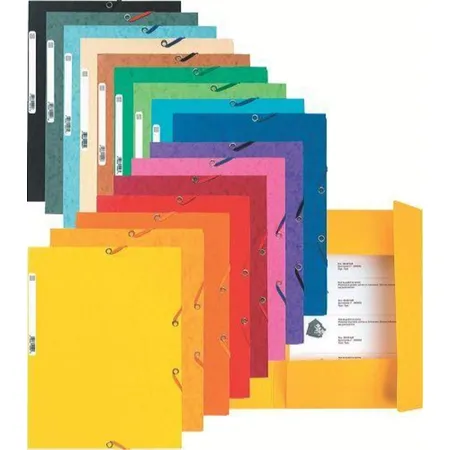Exacompta 55513E Sammelmappe, lindgrün