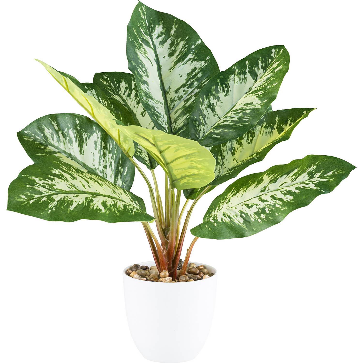 Kunstpflanze Dieffenbachia
