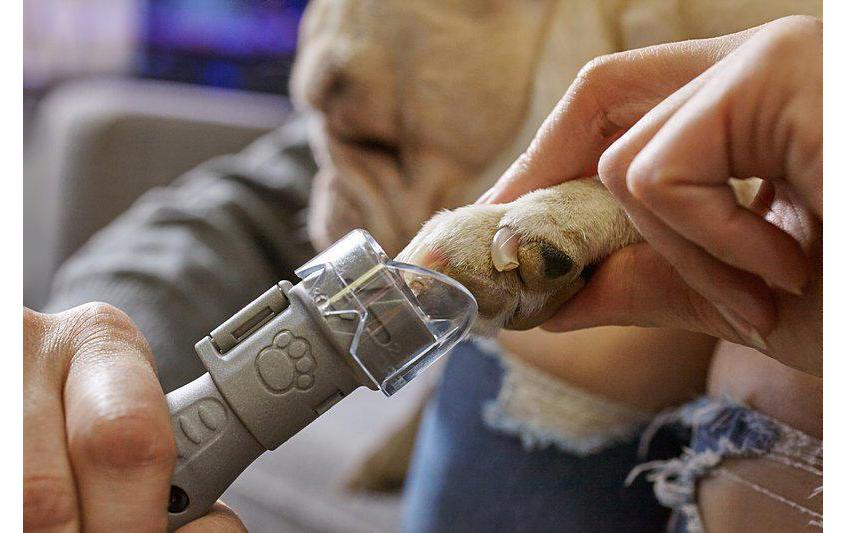 Krallenschleifer für Hunde & Katzen 7020-5Sicherer und leiser Krallenschleifer für Haustiere