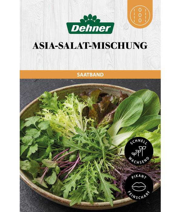 Dehner Saatband Asia-Salat-Mischung, L5 m