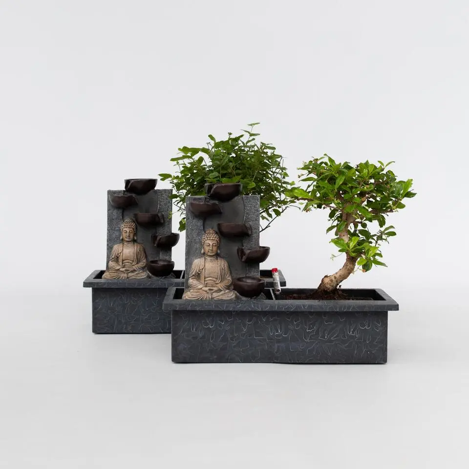 Bonsai met Buddha - Set van 2 - Bonsai - Hoogte 25-35cm - ⌀29cm