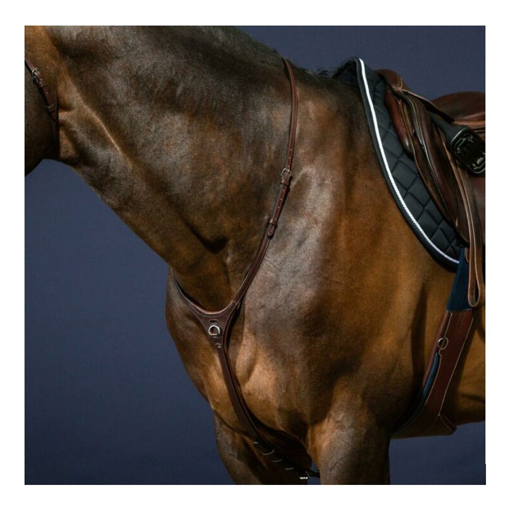 Dy'on NEW ENGLISH COLLECTION - Yoke brun