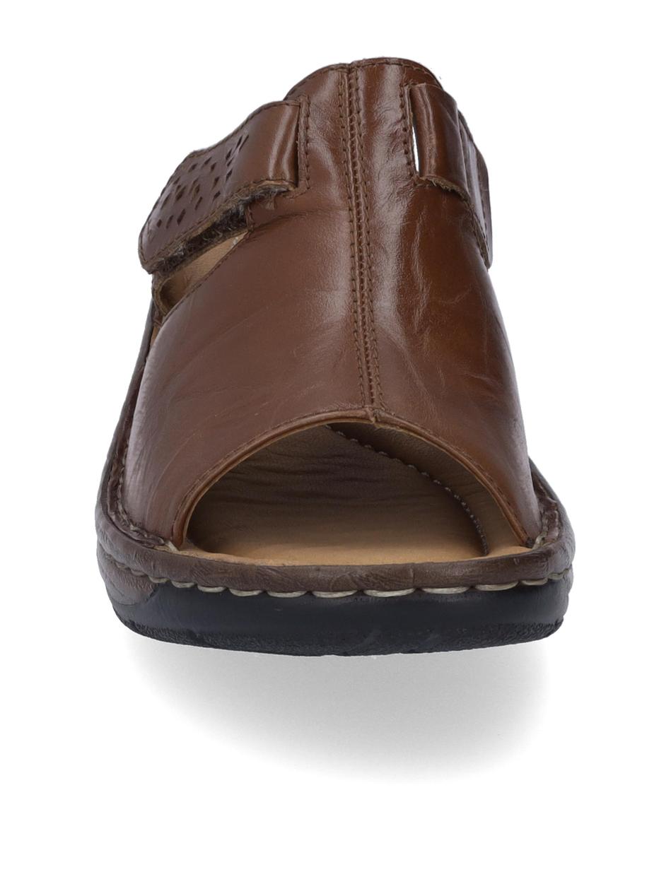 Clog Catalonia 32, brandy