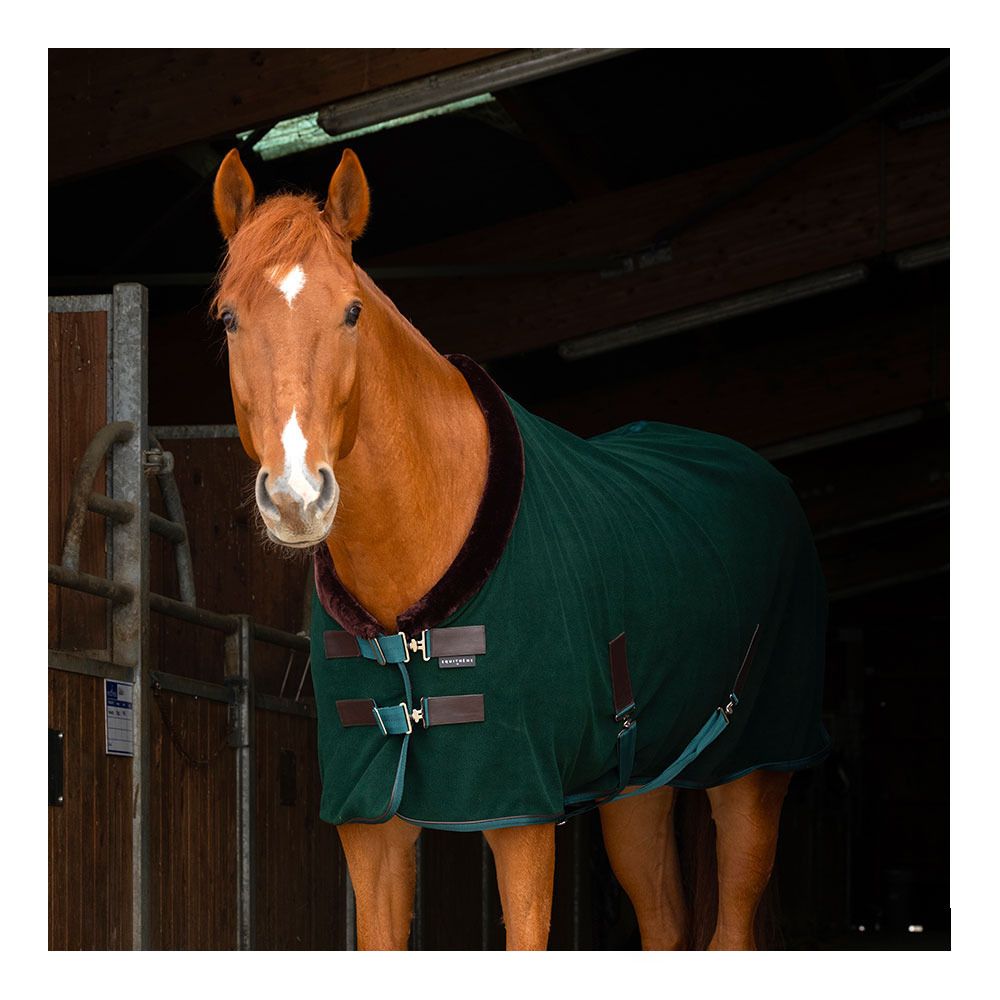 Equitheme TEDDY - Chemise polaire vrt/bru