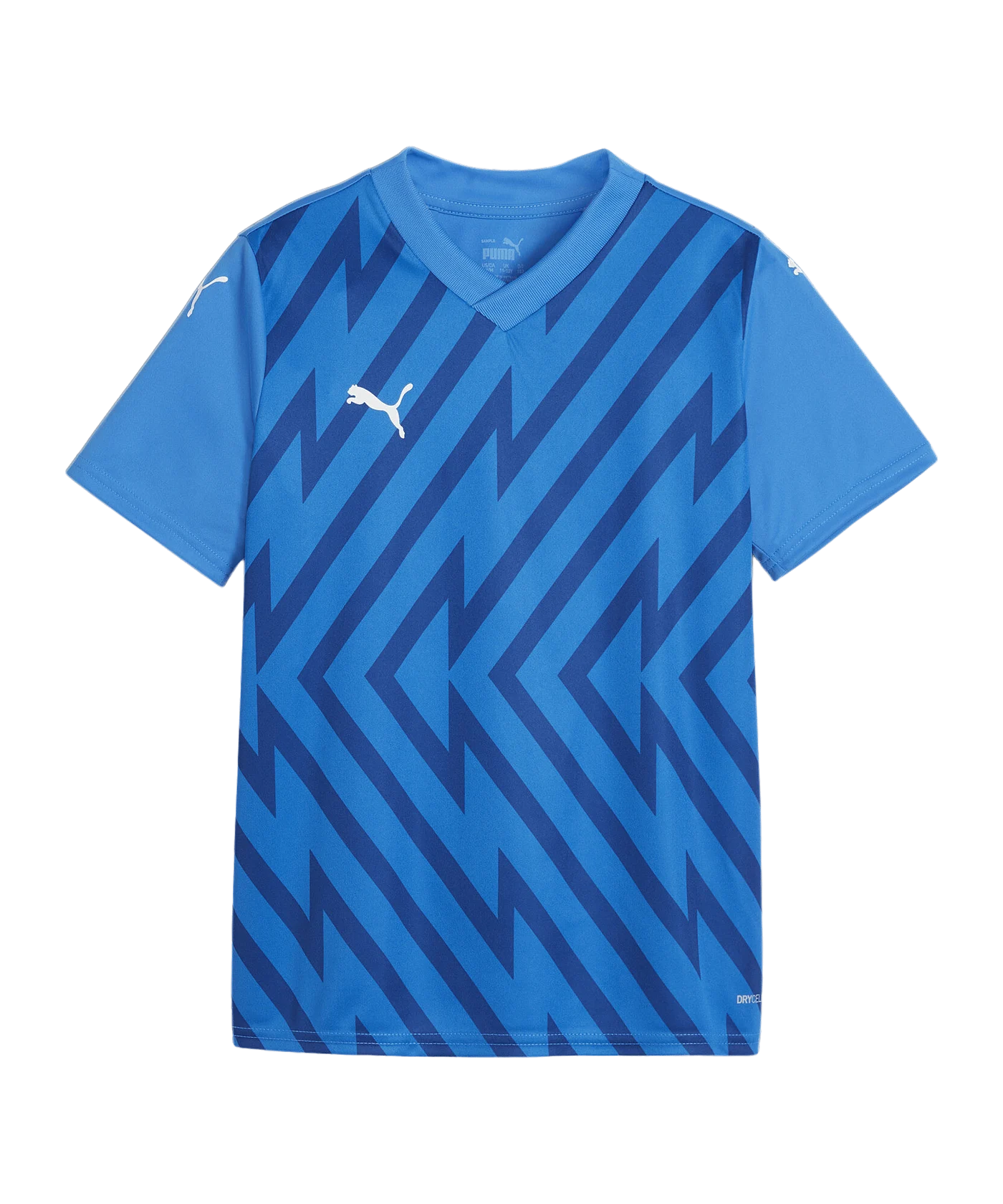 PUMA teamGLORY Trikot Kids Blau Weiss Blau F02