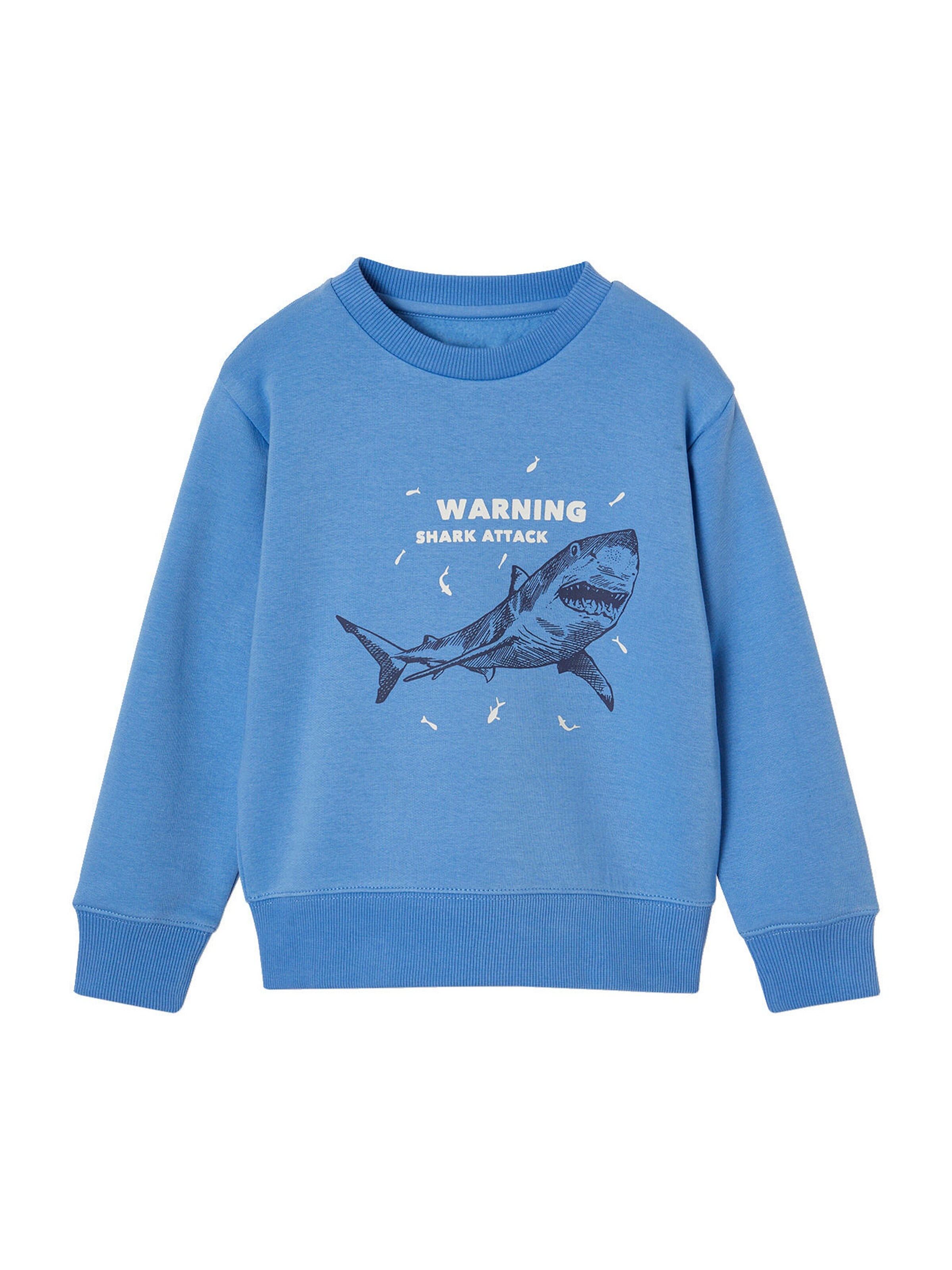 Vertbaudet Jungen Sweatshirt BASIC mit Print und Recycling-Polyester blau