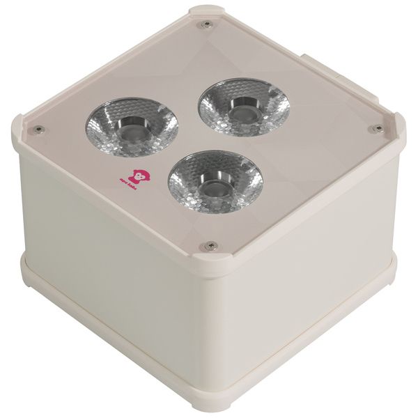 Ape Labs Double Wall Maxi V2 15° Creme