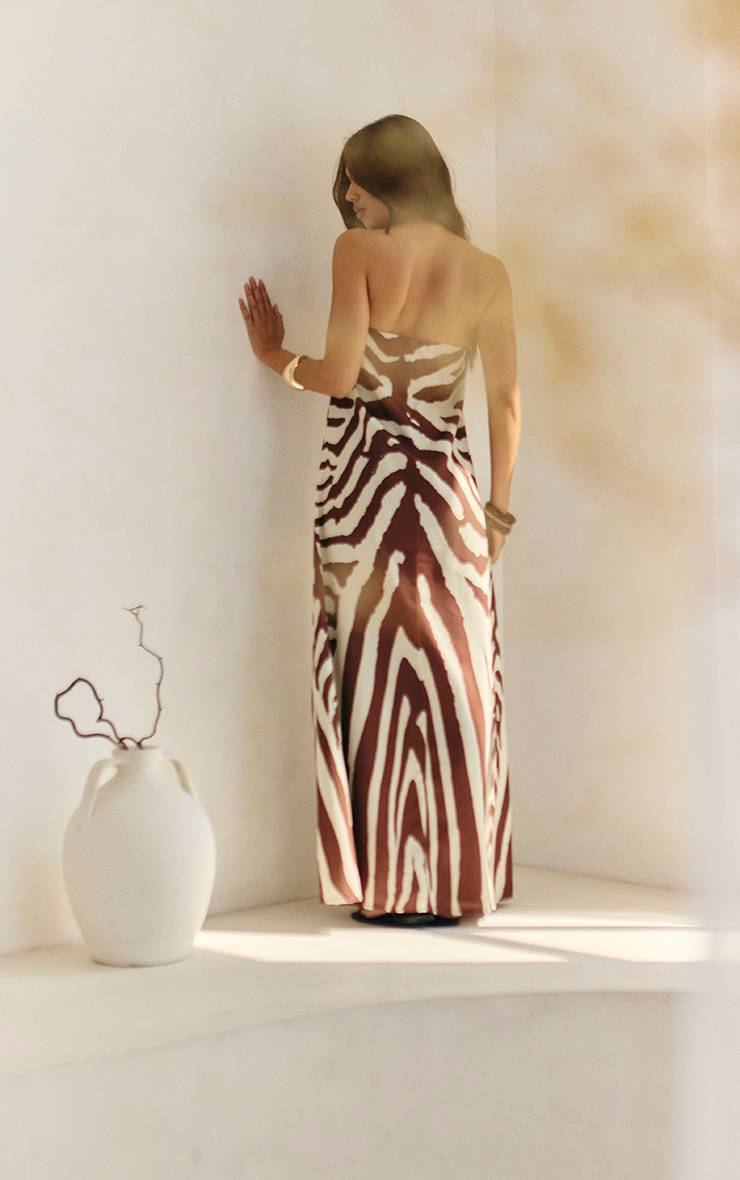 Marron Robe Longue Bandeau Tissée À Imprimé Zèbre Abstrait