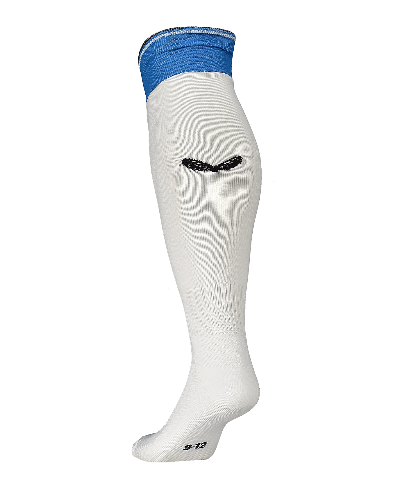 Castore FC Brügge Strumpfstutzen Away 2024/2025 Weiss F001