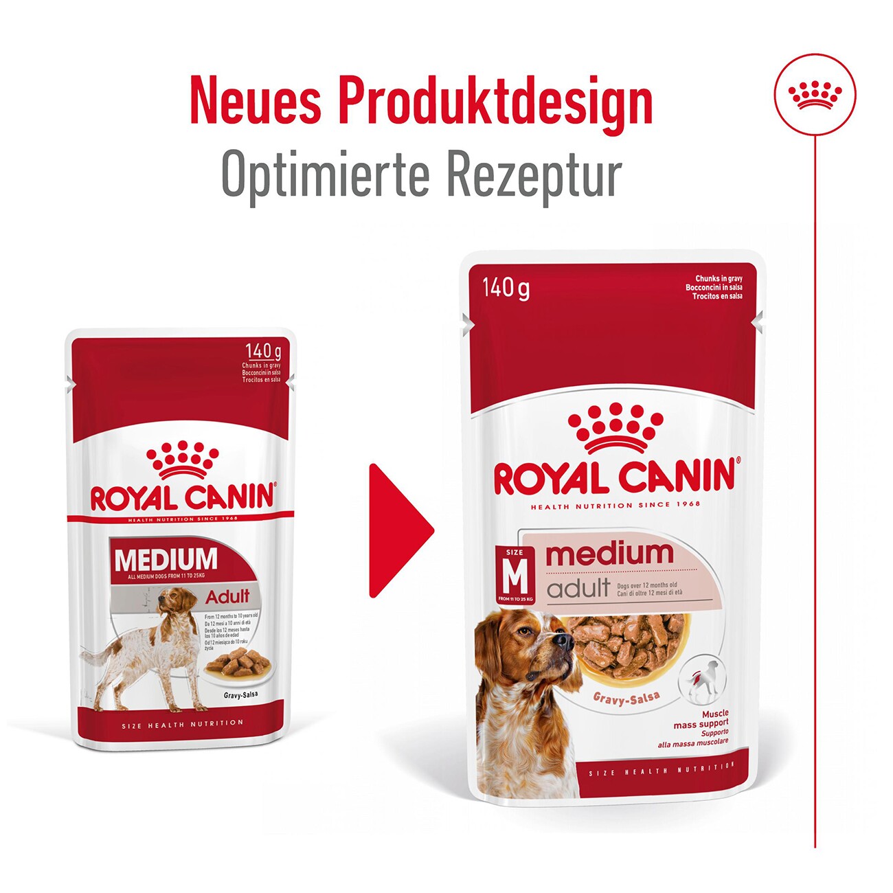 ROYAL CANIN Medium Adult in Soße 10x140 g
