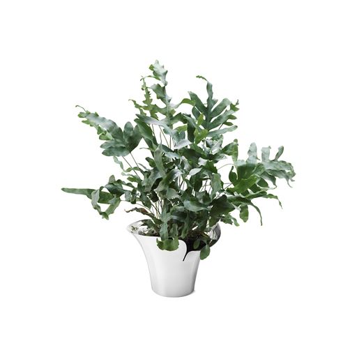Georg Jensen Bloom Botanica Skjuler, Rustfrit Stål, Medium