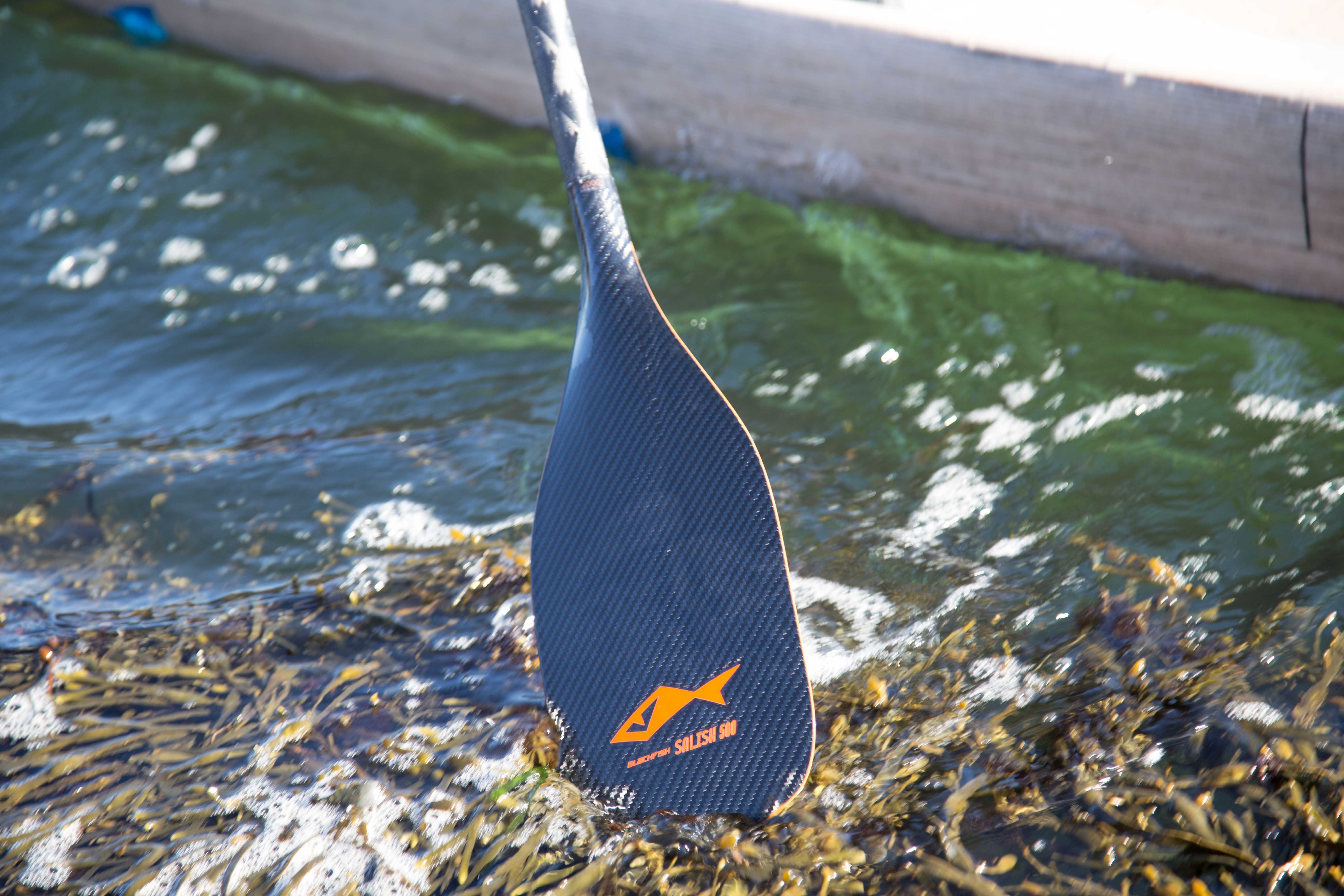 Blackfish Salish Fixe 77.5