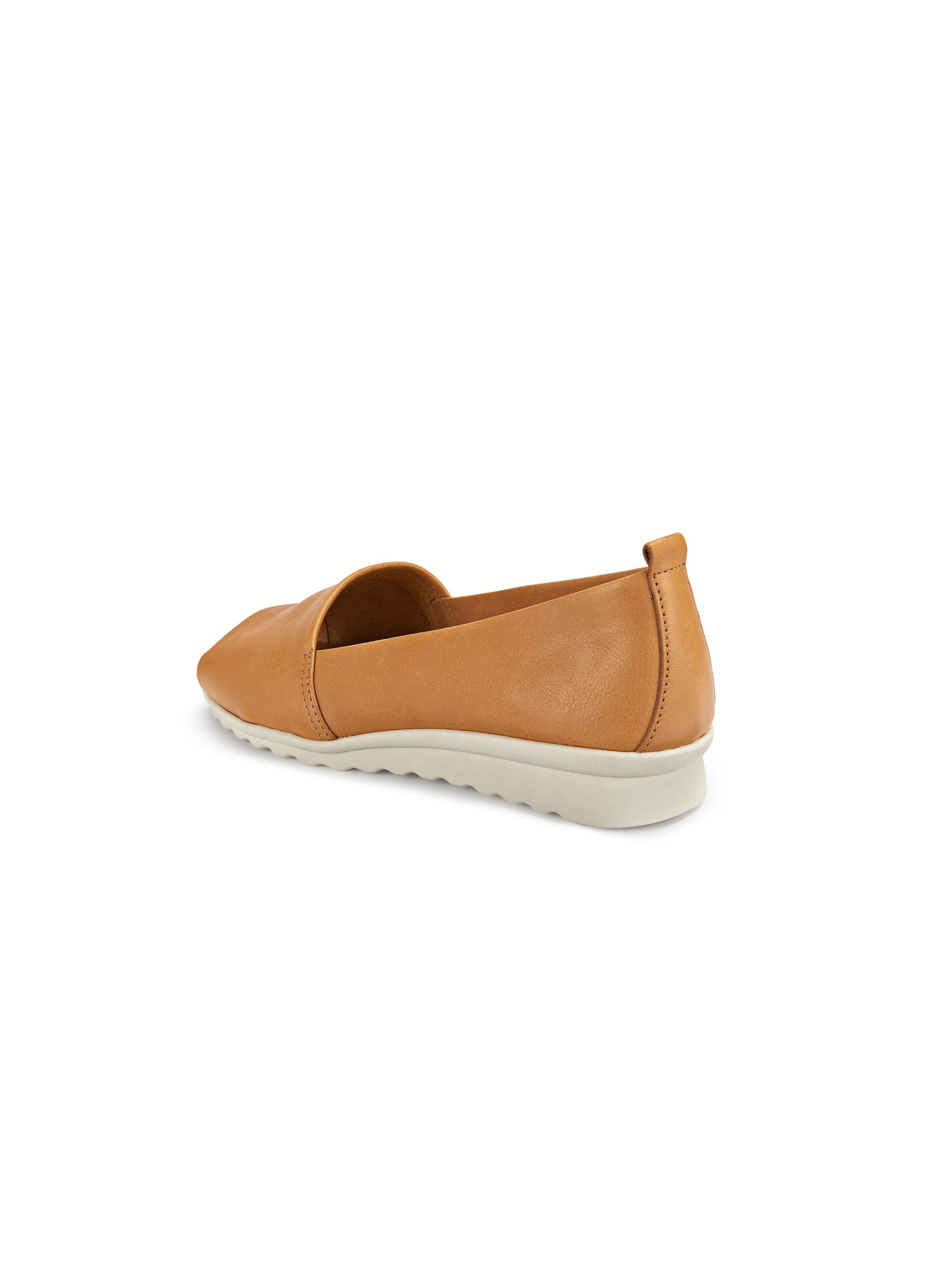 Slipper Fantastic