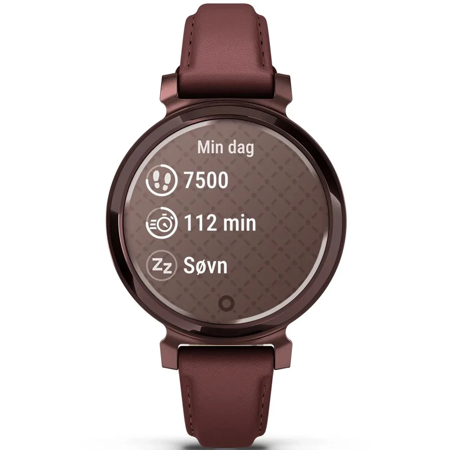 Garmin Lily 2 Classic 010-02839-03