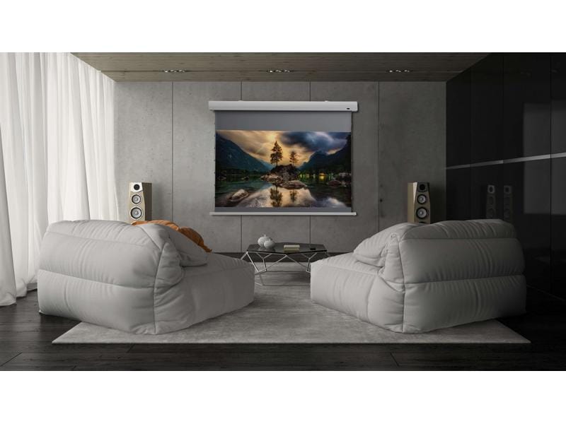 Celexon Tension-Leinwand HomeCinema Dynamic Slate ALR 265x1 HomeCinema Hochkontrastleinwand Tension 265 x 149 cm 120