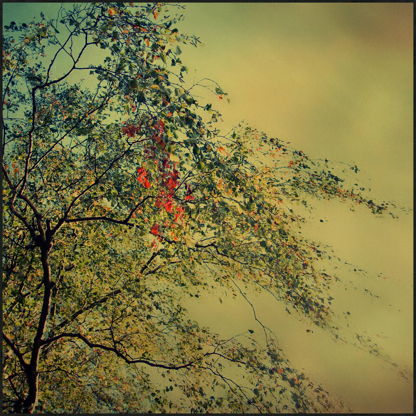 The Autumnal Whisper by Christiane Steinicke - Open Edition.