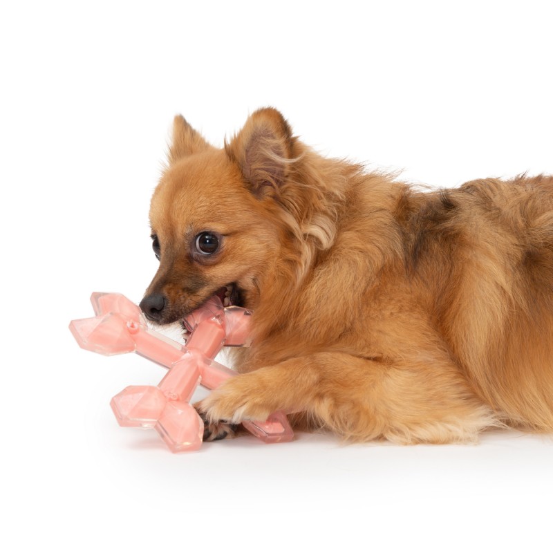 Brinquedo para mastigar Zeus Duo Cross Bone para cães, 15 cm, coral, aroma de frango