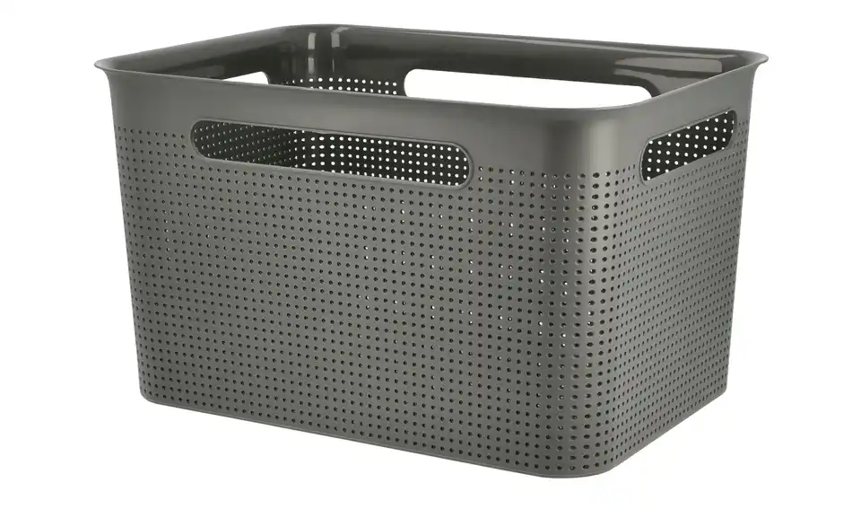 Rotho Aufbewahrungsbox 36 cm
