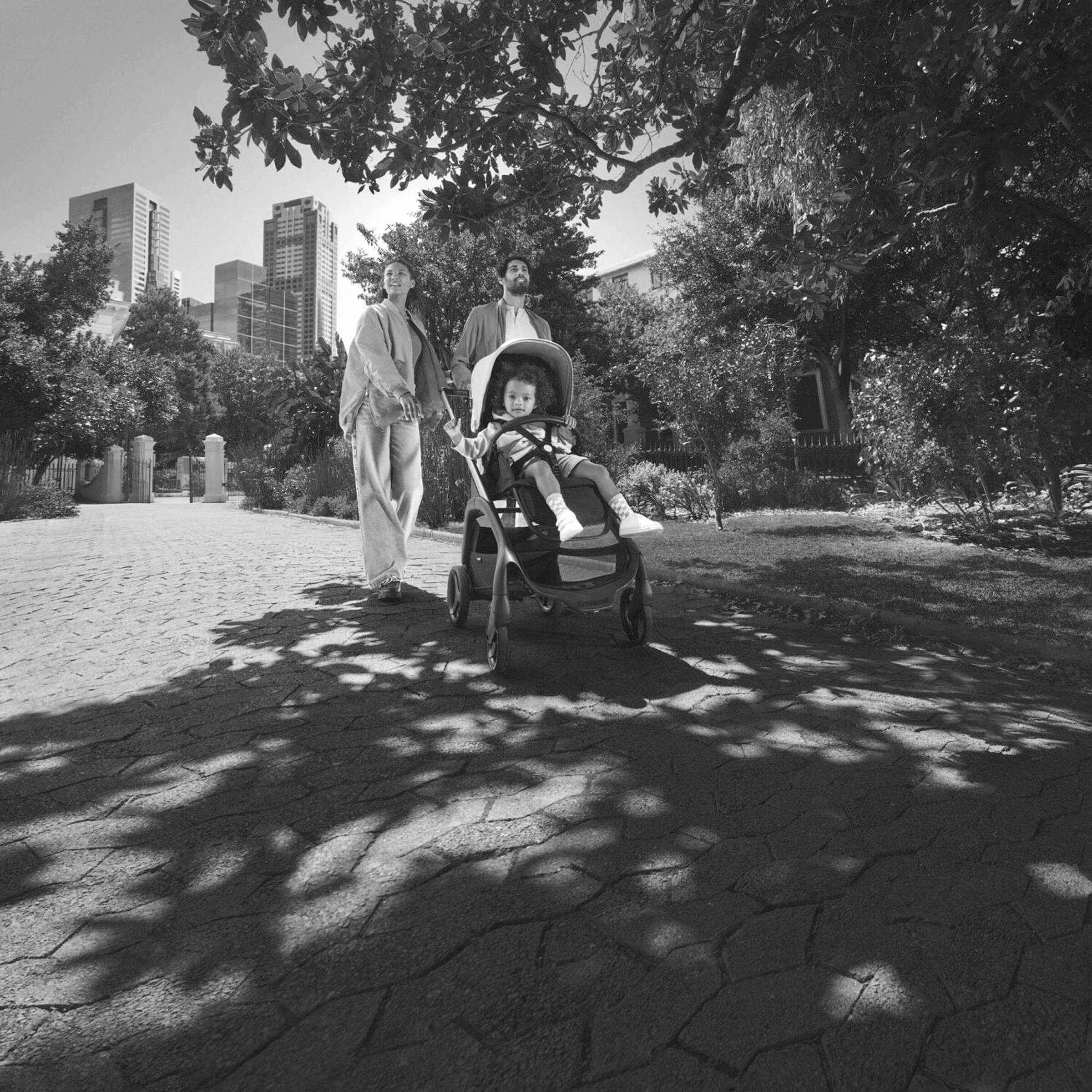 Bugaboo - DRAGONFLY Kinderwagen black / midnight black - midnight black