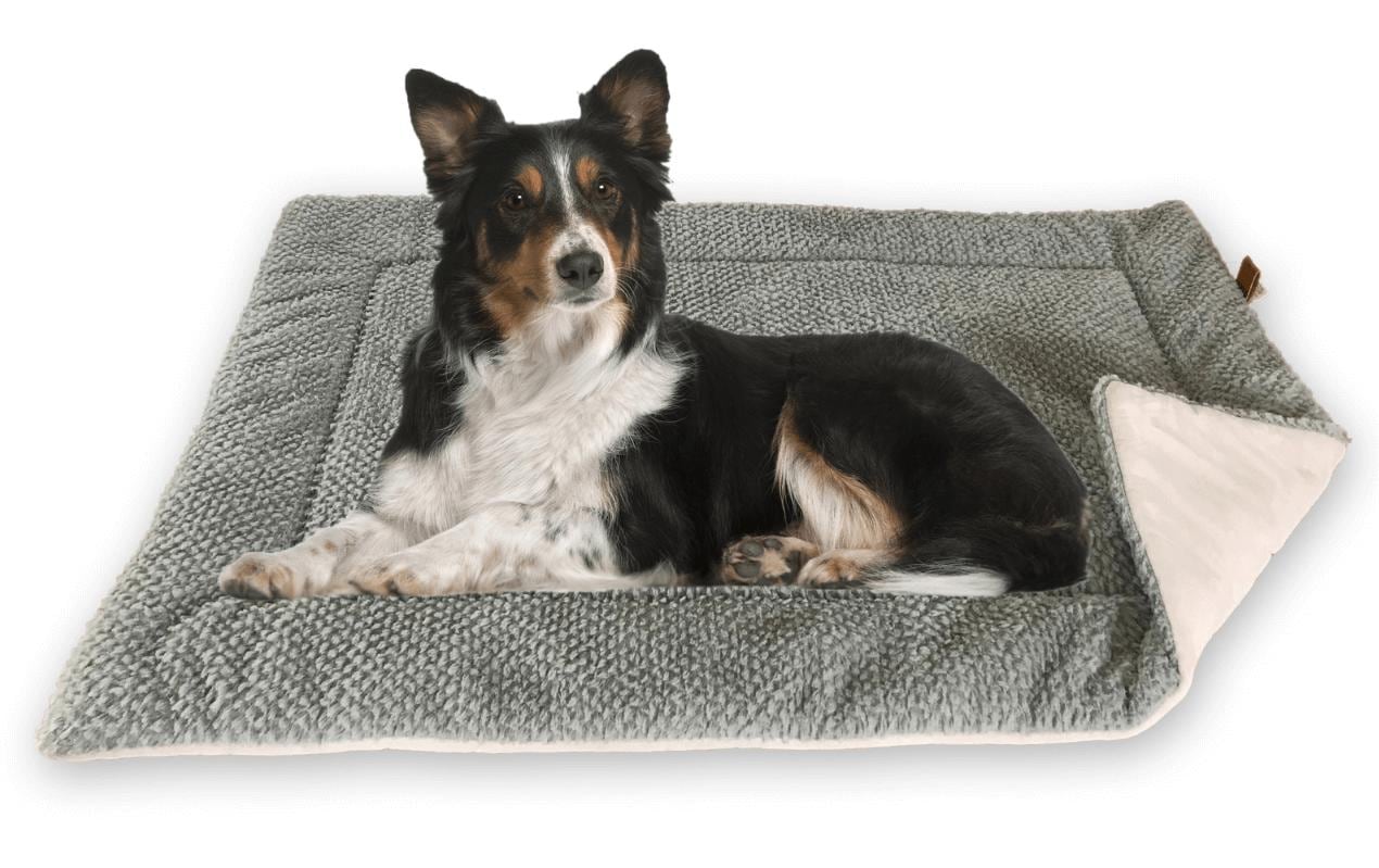 Hunde-Decke S, GrauIsolierende Liegedecke für Hunde