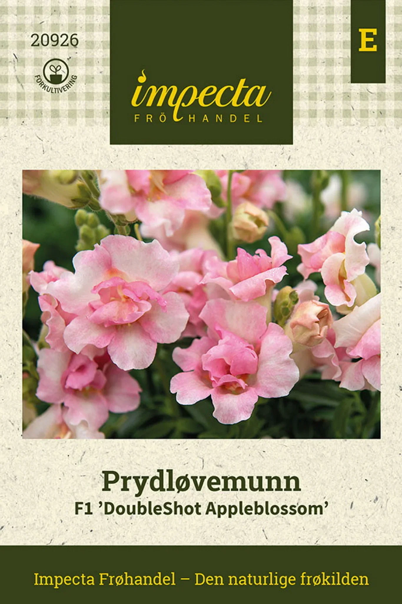 Antirrhinum majus F1 'DoubleShot Appleblossom' Prydløvemunn F1 'DoubleShot Appleblossom'