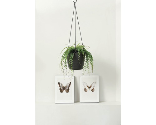Hanglamp elho Brussels kunststof Ø 18 H 17 cm antraciet