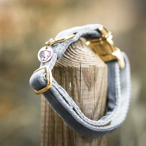 Kentucky Dogwear Velvet Hondenhalsband