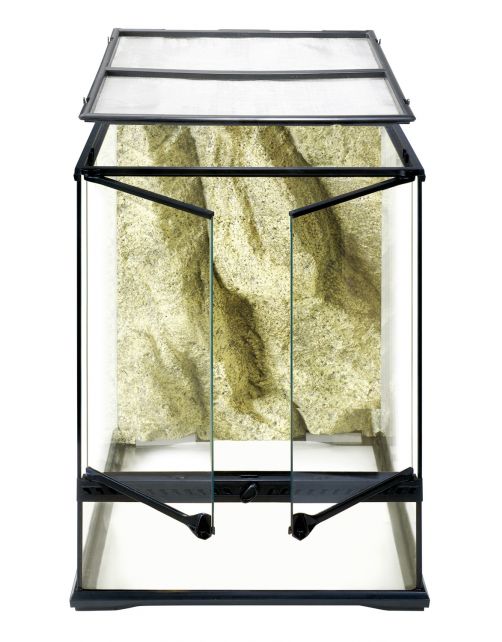 Exo Terra Glas Terrarium & Achterwand - Terraria