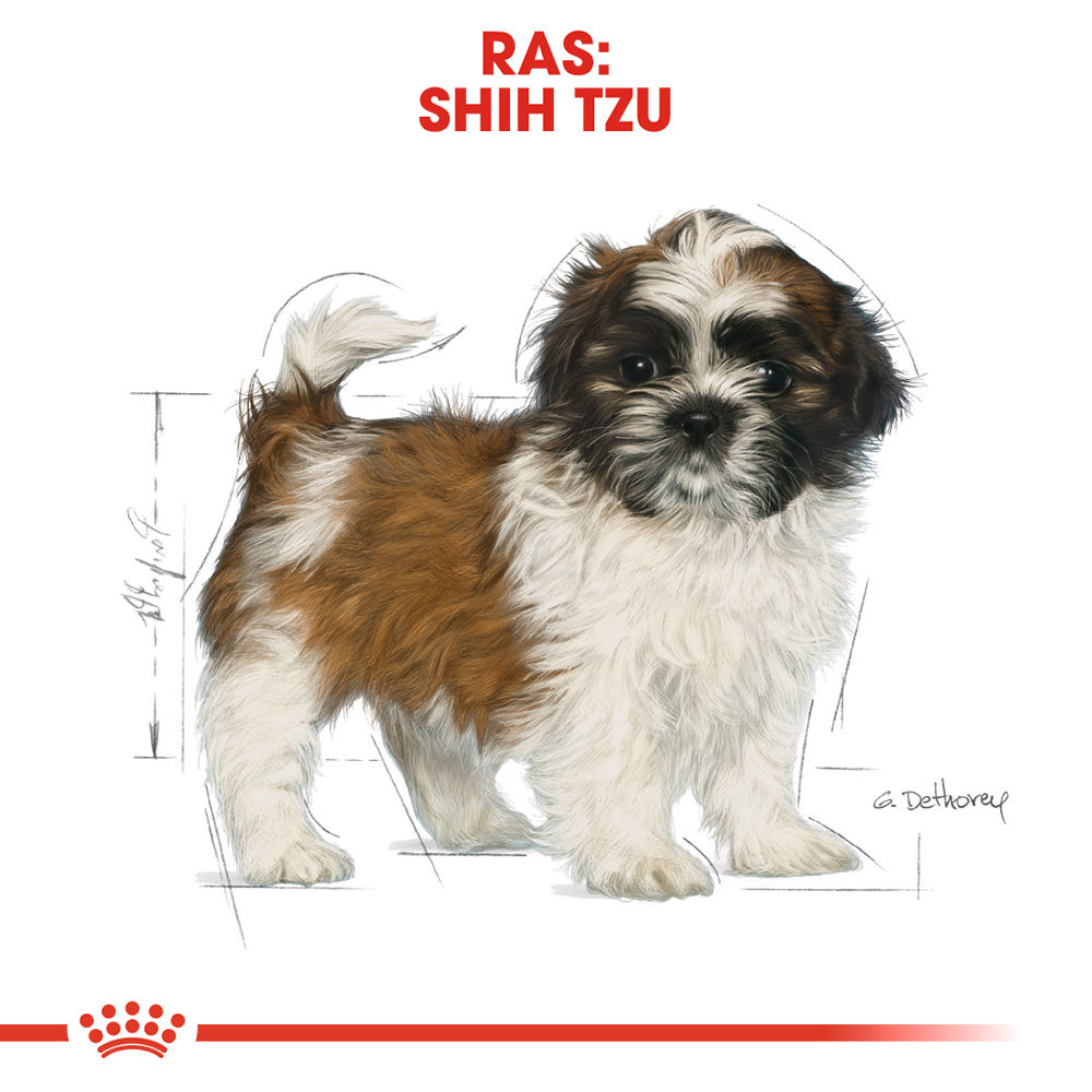 Royal Canin Shih Tzu Puppy - Hondenvoer