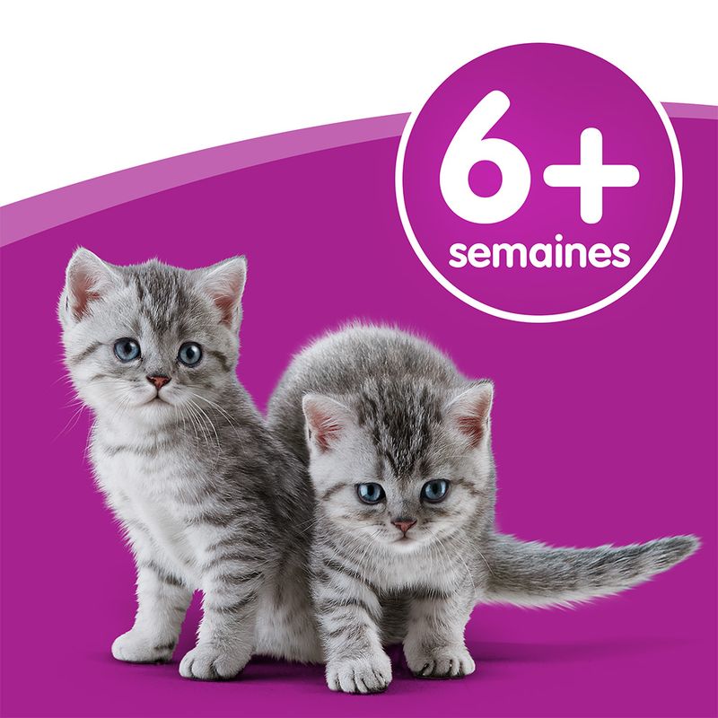 Lait Whiskas à prix discount sur bitiba.fr
