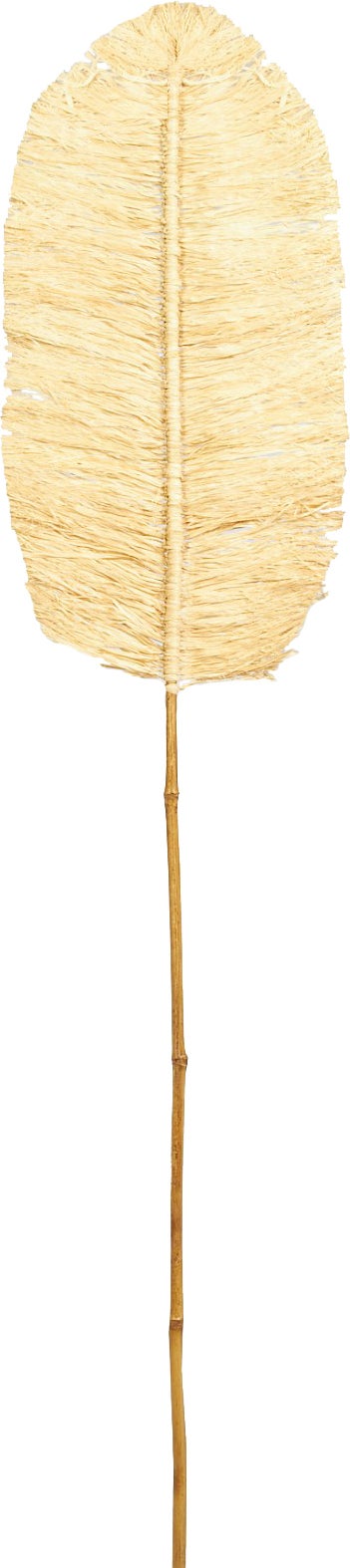 Dijk Natural Collections decoratieblad Palm naturel 150 x 30 x 1,5 cm