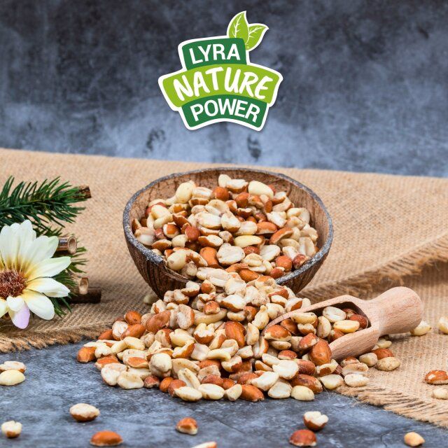 Lyra Pet® Erdnusskerne Splits gemischt blanchiert und mit Haut