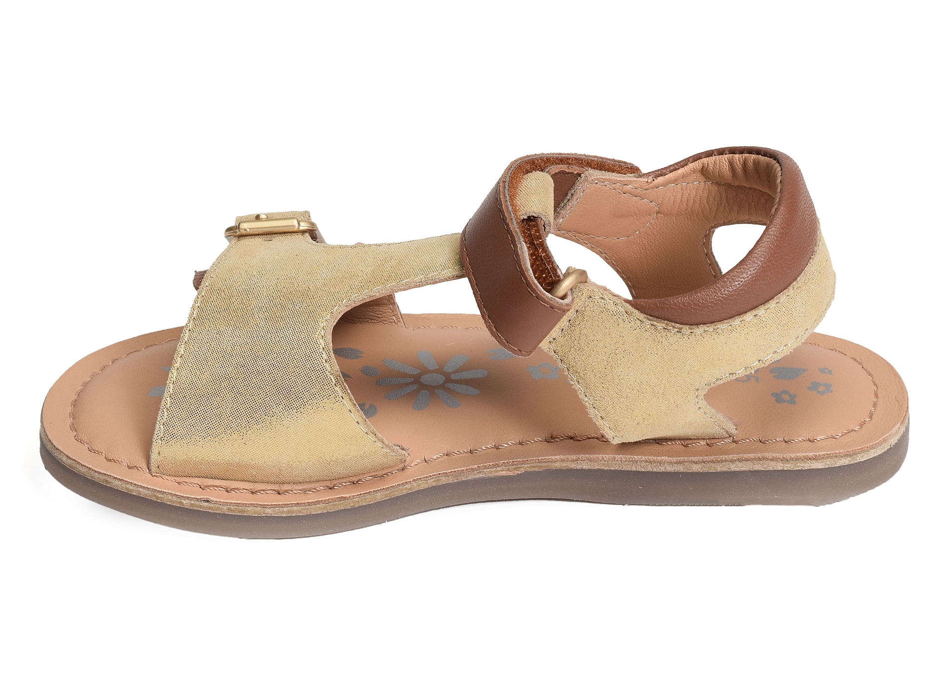 Diazz camel or