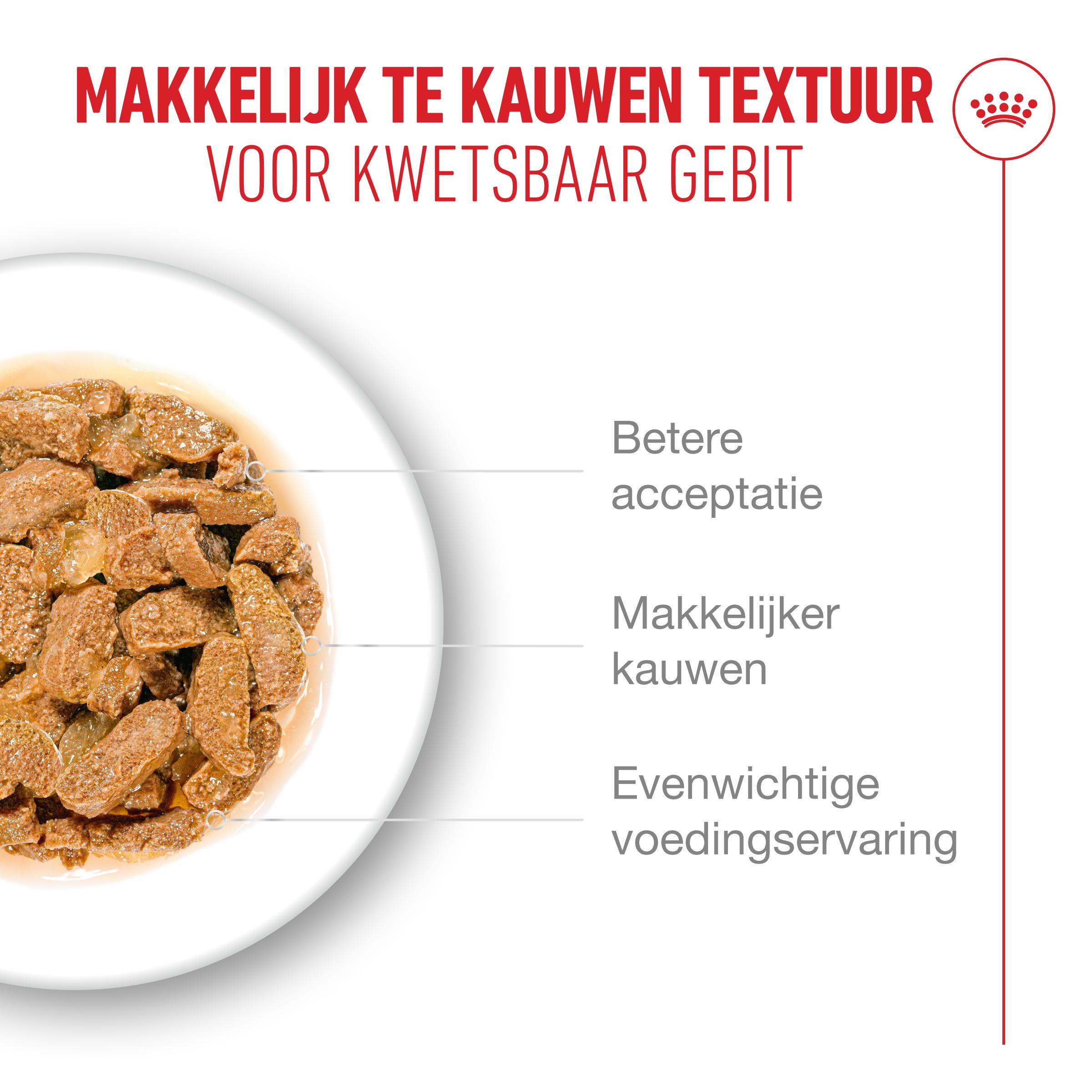 Royal Canin Ageing 11+ in Gelei - Kattenvoer