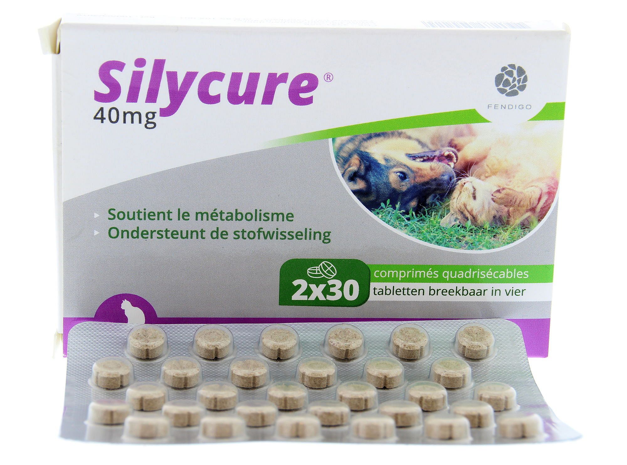 Silycure Fendigo 40 mg 2 x 30 tabletten