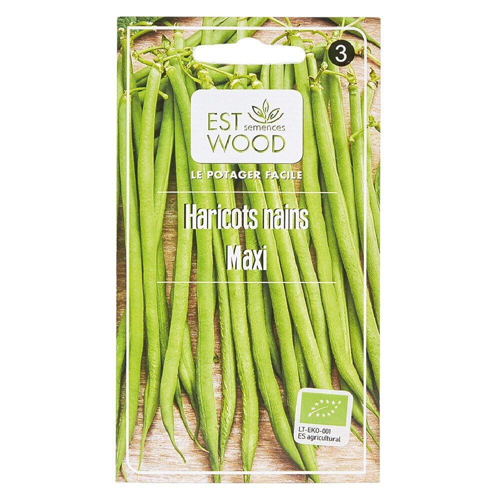 Semence haricot nain maxi