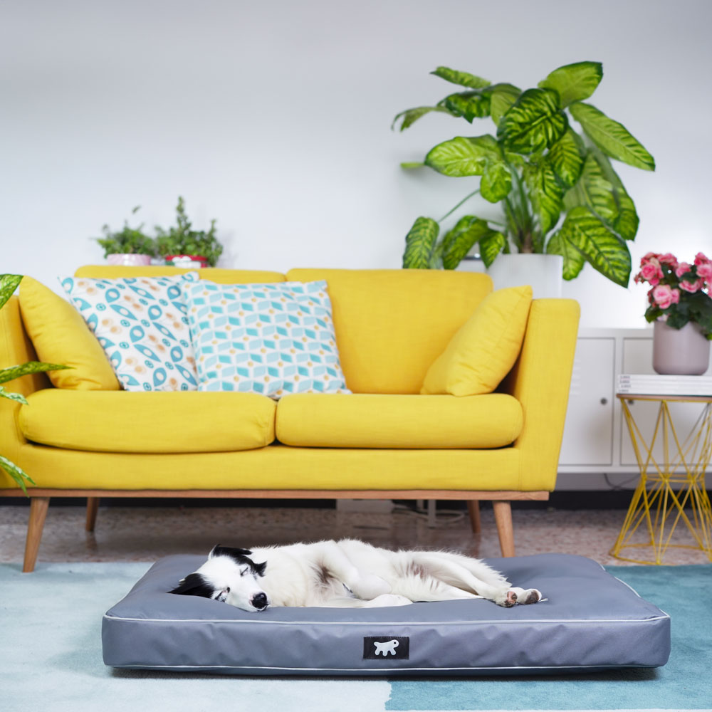 Ferplast panier chien chat - coussin orthopédique chien - lavable en machine - tapis chien - lit chat chien - imperméable &