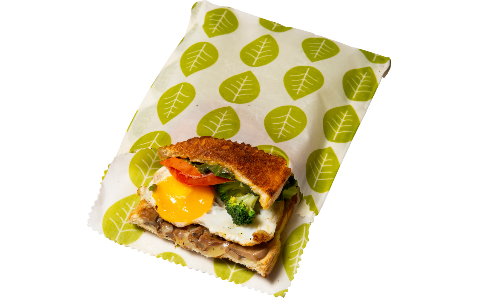 Nuts Innovations Sandwich und Snack Beutel Vegan 2er Set Grüne Blätter