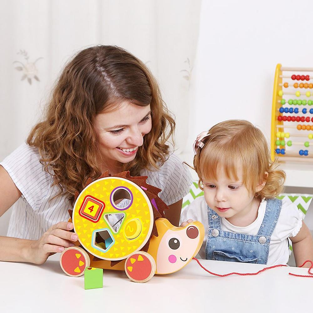 Tooky Toy Steckspiel, Nachziehspielzeug Igel TKE011 Formsortierer, 5 Formen bunt