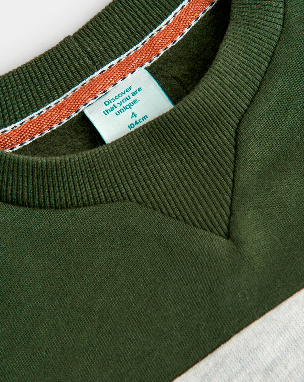 Sweatshirt RESPECT THE PLANET in grün