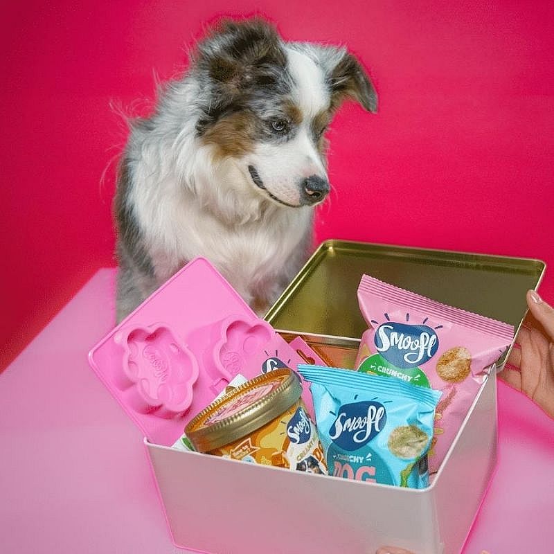 Smoofl Limited Edition Gift Set Hond | 13856