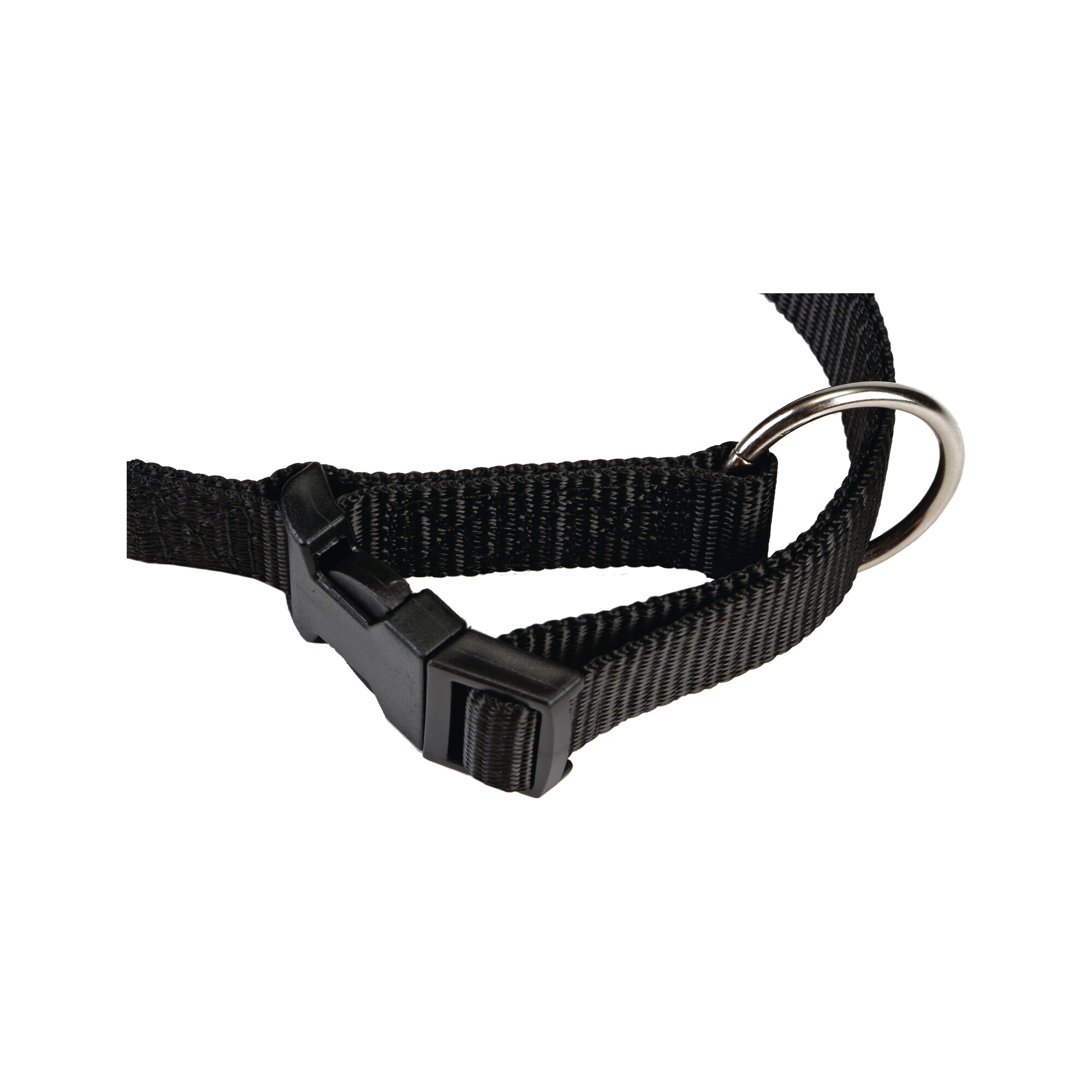 Beeztees Halsband Hond met Kliksluiting