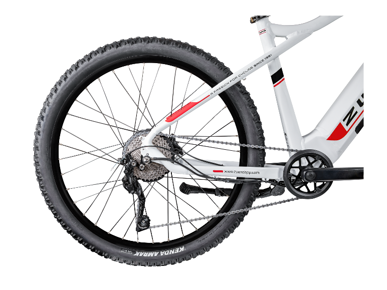 Elektrische mountainbike Z898