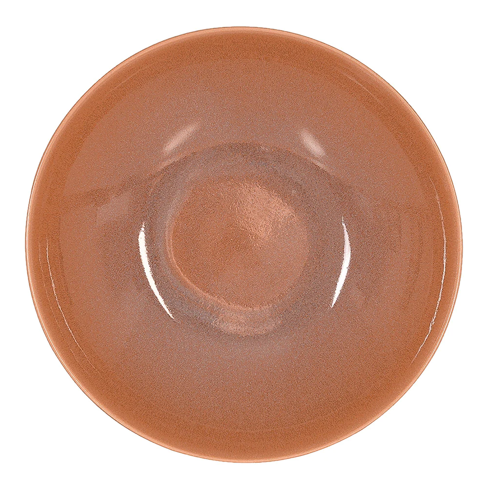 Assiette plate Terra 27,5 cm (lot de 6) Trend'up